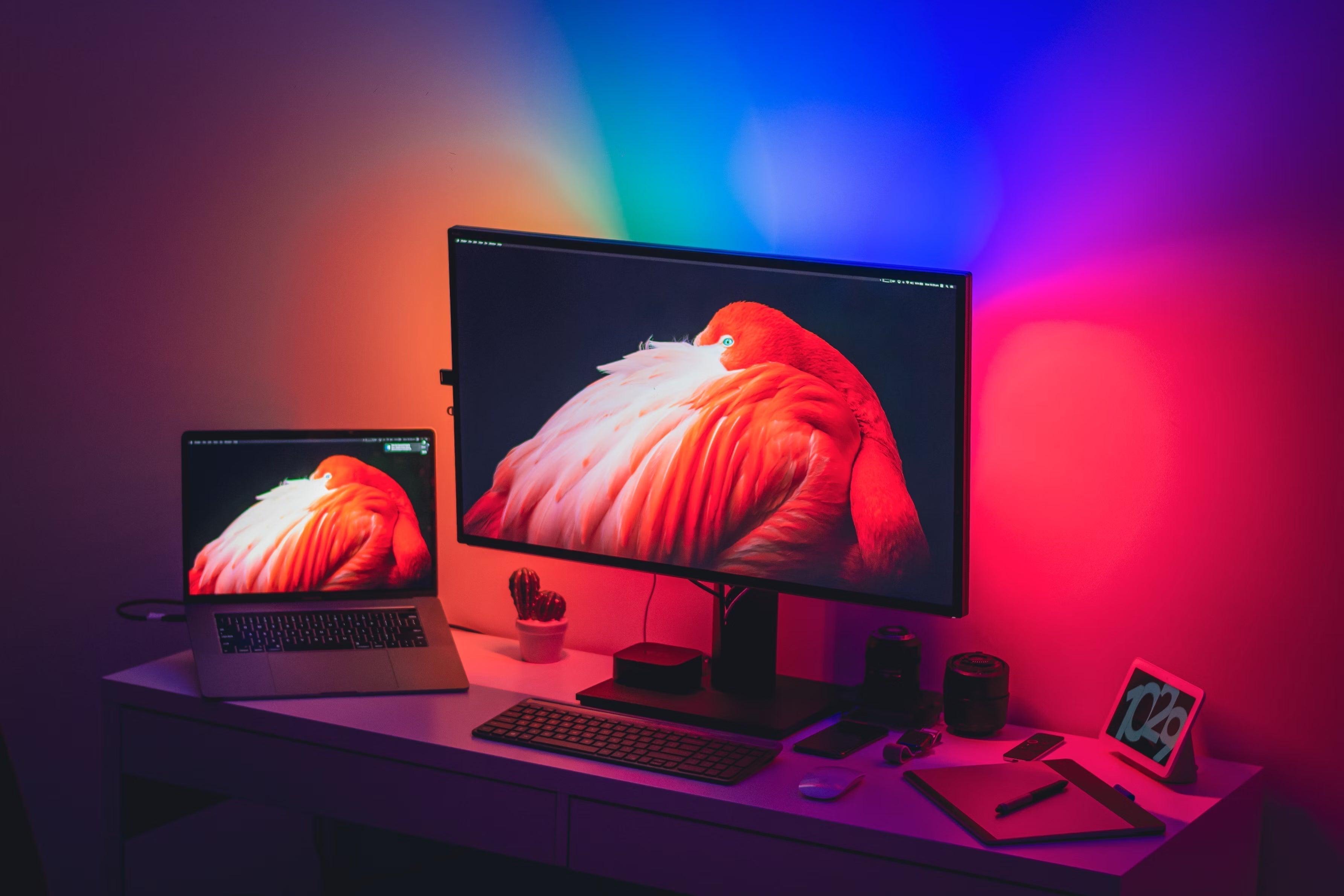 LCD vs. OLED für Gaming: Welches Panel ist die beste Wahl?
