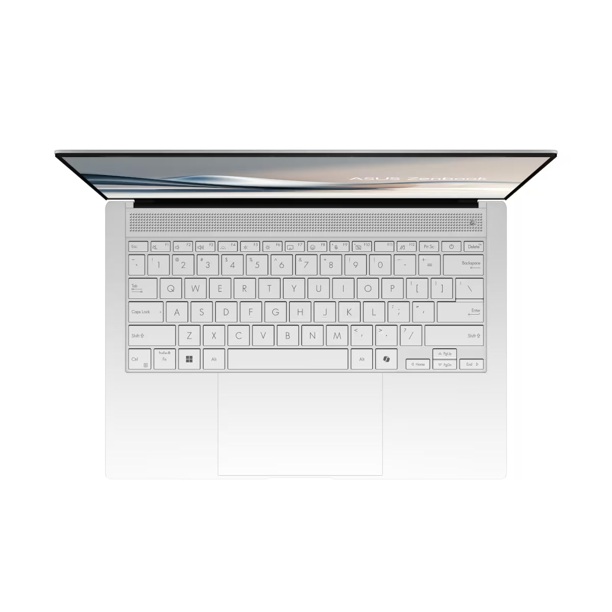 ASUS Zenbook S14 OLED UX5406SA | Copilot + PC | 14" 2,8K OLED, Intel Core Ultra 7 258V, 32GB RAM, 1 TB SSD, W11H