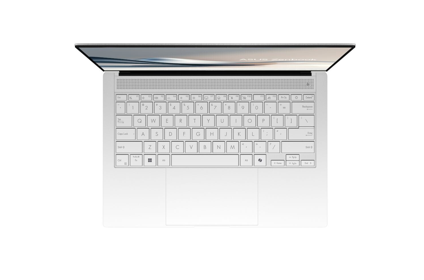 ASUS Zenbook S14 OLED UX5406SA | Copilot + PC | 14" 2,8k OLED, Intel Core Ultra 7-258V, 32GB RAM, 1000GB SSD, Windows 11